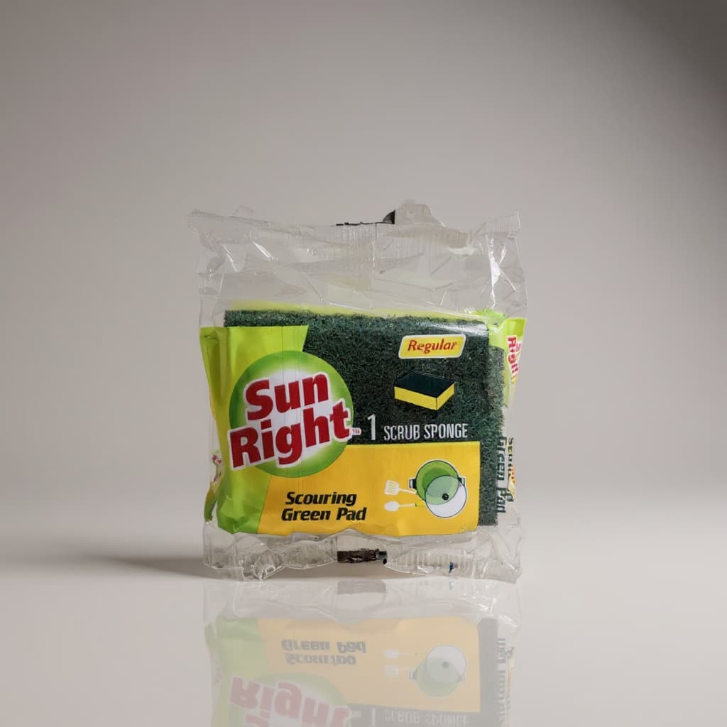 SUN RIGHT SCRUB SPONGE