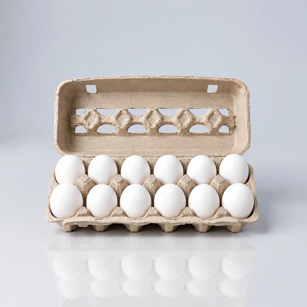 EGGS OPEN 1 DOZEN